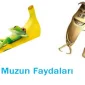 Muzun Faydaları